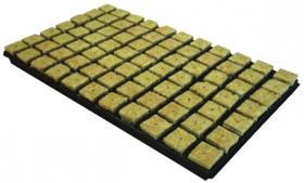 Plateau de germination 77 cubes LDR Grodan